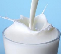 Sữa tươi trị da nhờn bóng